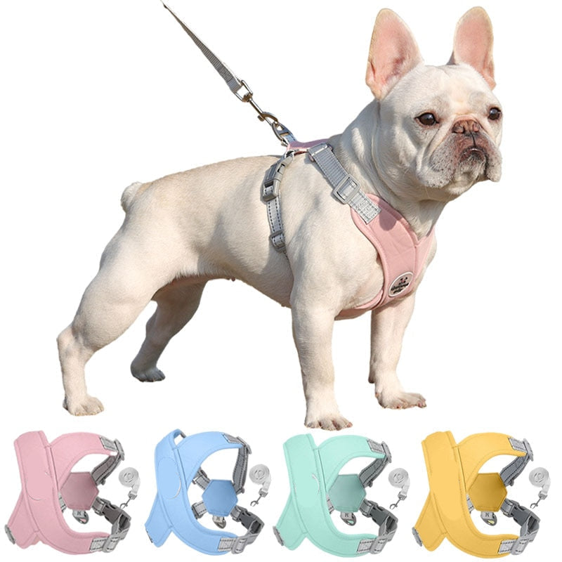 Kit Coleira Peitoral & Guia Pet