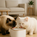 Fonte Purificadora Capri